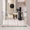 imageRegalo Easy Step 49Inch Extra Wide Baby Gate Includes 4Inch and 12Inch Extension Kit 4 Pack of Pressure Mount Kit and 4 Pack of Wall Mount KitPlatinum