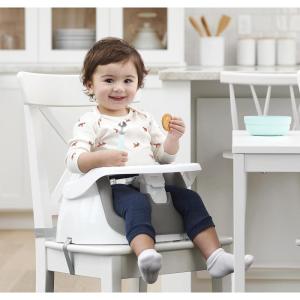 imageRegalo My Little 2in1 Booster Seat and Grow with Me Floor Seat with Removable Feeding Tray Indoor and Outdoor Activity Chair PurpleGray